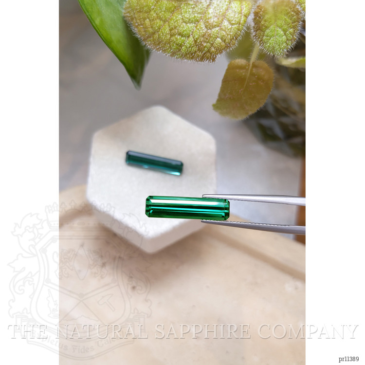 9.14 Ct.Tw. Tourmaline Pair from Brazil