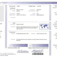 20.63&nbsp;Ct.Tw.Total Carat Weight Blue Sapphire Pair from Ceylon (Sri Lanka) Scan Report