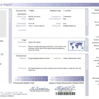 20.63&nbsp;Ct.Tw.Total Carat Weight Blue Sapphire Pair from Ceylon (Sri Lanka) Scan Report