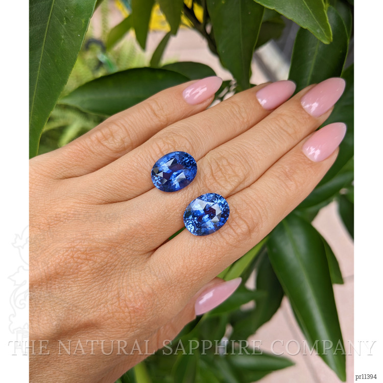 20.63 Ct.Tw. Blue Sapphire Pair from Ceylon (Sri Lanka)