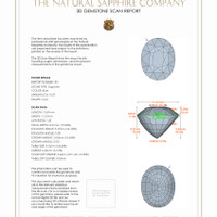 20.63 Ct.Tw.Total Carat Weight Blue Sapphire Pair from Ceylon (Sri Lanka) 3 D Scan Report