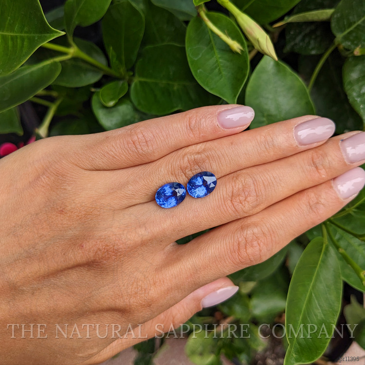 8.81 Ct.Tw. Blue Sapphire Pair from Ceylon (Sri Lanka)