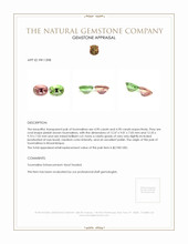 9.80 Ct.Tw.Total Carat Weight Tourmaline Pair from Mozambique Appraisal