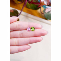 3.13&nbsp;Ct.Tw.Total Carat Weight Tourmaline Pair from Mozambique Life Style