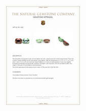 9.86 Ct.Tw.Total Carat Weight Tourmaline Pair from Mozambique Appraisal