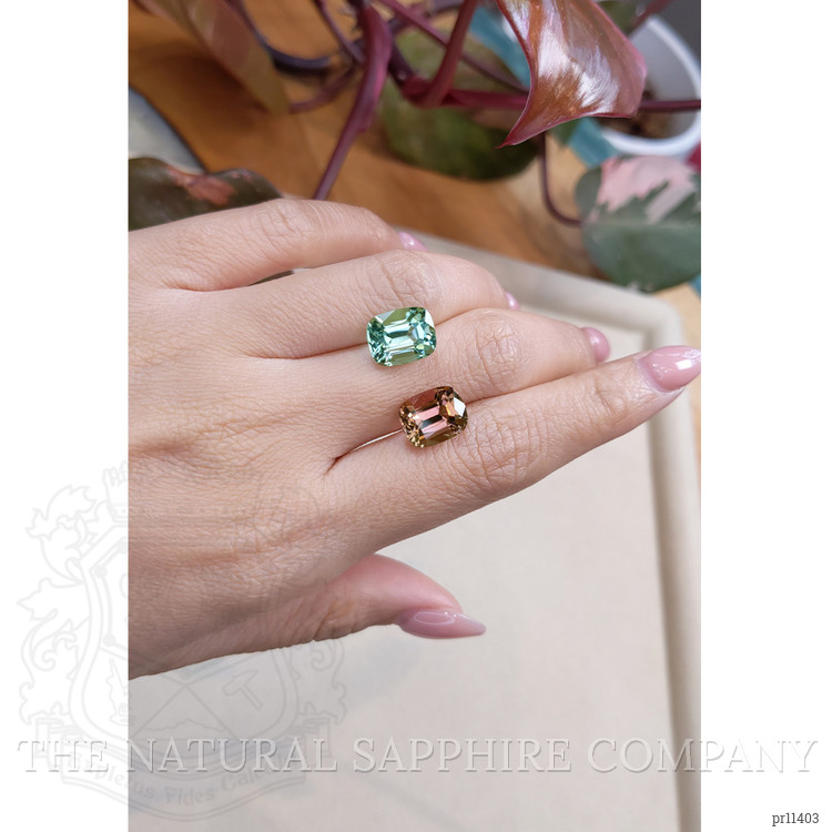 9.86 Ct.Tw. Tourmaline Pair from Mozambique