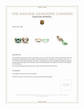 9.68 Ct.Tw.Total Carat Weight Tourmaline Pair from Mozambique Appraisal