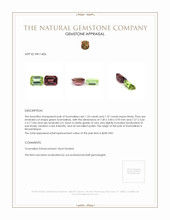 2.70&nbsp;Ct.Tw.Total Carat Weight Tourmaline Pair from Mozambique Appraisal