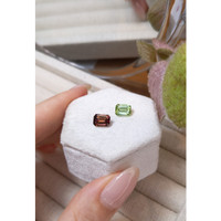 2.70 Ct.Tw.Total Carat Weight Tourmaline Pair from Mozambique Life Style