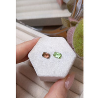 2.70 Ct.Tw.Total Carat Weight Tourmaline Pair from Mozambique Life Style