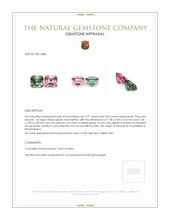 4.00&nbsp;Ct.Tw.Total Carat Weight Tourmaline Pair from Mozambique Appraisal