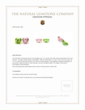 3.62 Ct.Tw.Total Carat Weight Tourmaline Pair from Mozambique Appraisal