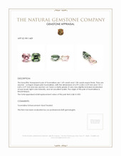 3.07&nbsp;Ct.Tw.Total Carat Weight Tourmaline Pair from Mozambique Appraisal