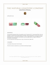 4.23 Ct.Tw.Total Carat Weight Tourmaline Pair from Mozambique Appraisal