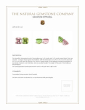 3.38 Ct.Tw.Total Carat Weight Tourmaline Pair from Mozambique Appraisal