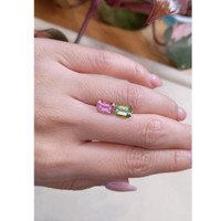 2.94 Ct.Tw.Total Carat Weight Tourmaline Pair from Mozambique Life Style