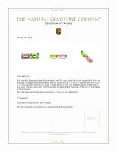 2.03 Ct.Tw.Total Carat Weight Tourmaline Pair from Mozambique Appraisal