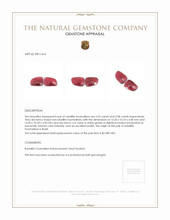 11.90&nbsp;Ct.Tw.Total Carat Weight Rubellite Tourmaline Pair from Brazil Appraisal