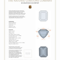 8.67&nbsp;Ct.Tw.Total Carat Weight Kunzite Pair from Afghanistan 3 D Scan Report