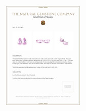 9.79 Ct.Tw.Total Carat Weight Kunzite Pair from Afghanistan Appraisal