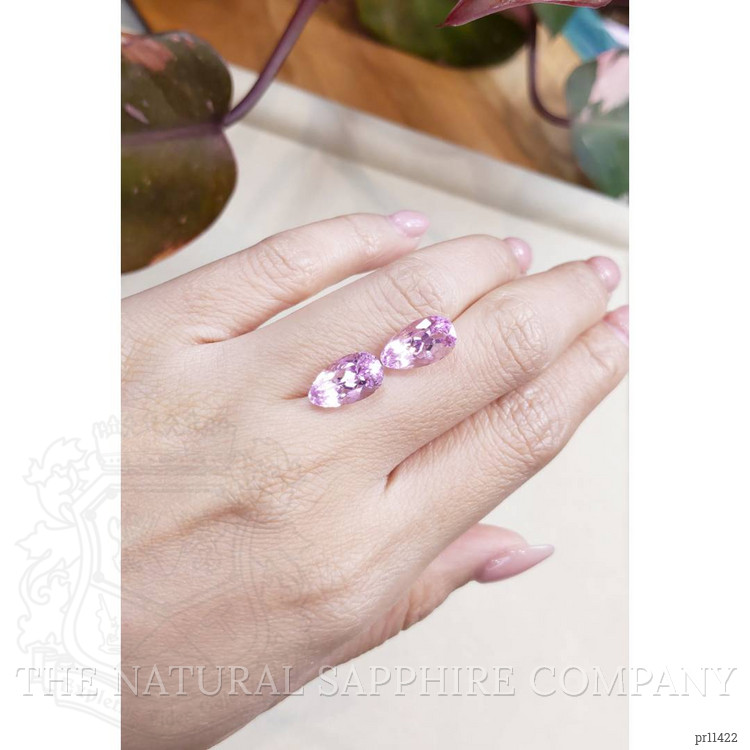 9.79 Ct.Tw. Kunzite Pair from Afghanistan