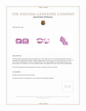 3.05&nbsp;Ct.Tw.Total Carat Weight Kunzite Pair from Afghanistan Appraisal