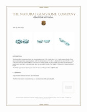 4.94&nbsp;Ct.Tw.Total Carat Weight Aquamarine Pair from Brazil Appraisal