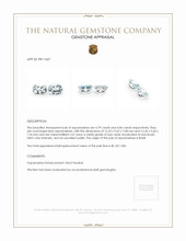 9.65 Ct.Tw.Total Carat Weight Aquamarine Pair from Brazil Appraisal