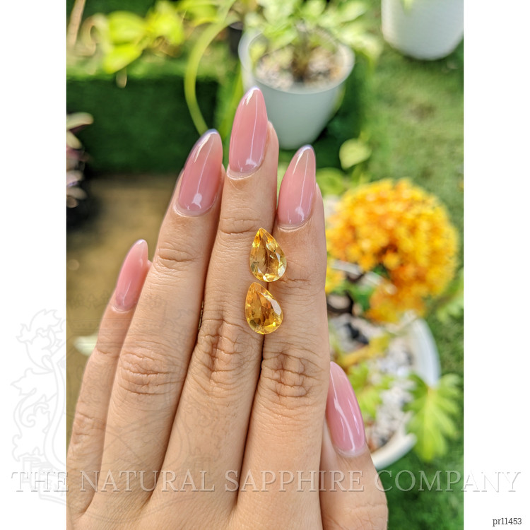 4.62 Ct.Tw. Citrine Pair from Brazil