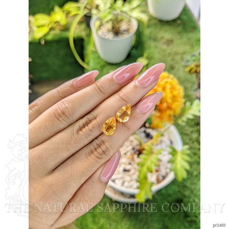 4.62 Ct.Tw. Citrine Pair from Brazil