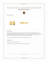 5.08 Ct.Tw.Total Carat Weight Yellow Citrine Pair from Brazil Appraisal