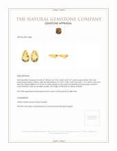 4.79 Ct.Tw.Total Carat Weight Citrine Pair from Brazil Appraisal