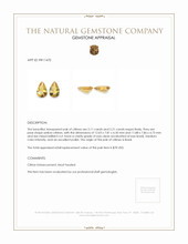 4.32 Ct.Tw.Total Carat Weight Citrine Pair from Brazil Appraisal