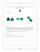 0.52&nbsp;Ct.Tw.Total Carat Weight Emerald Pair from Zambia Appraisal