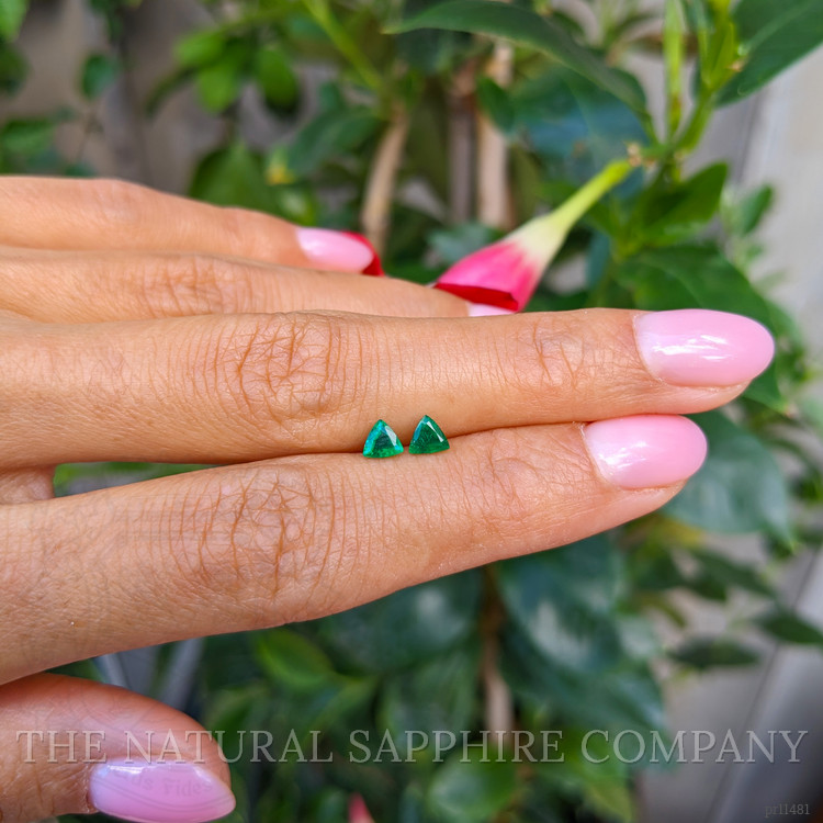 0.52 Ct.Tw. Emerald Pair from Zambia