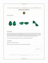 0.68 Ct.Tw.Total Carat Weight Emerald Pair from Zambia Appraisal