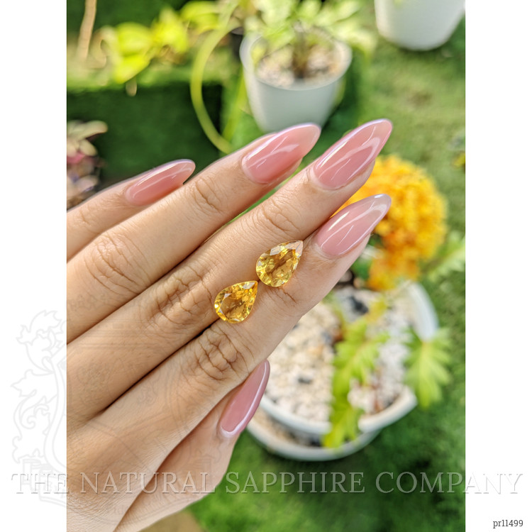 4.68 Ct.Tw. Citrine Pair from Brazil