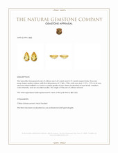 4.61 Ct.Tw.Total Carat Weight Citrine Pair from Brazil Appraisal