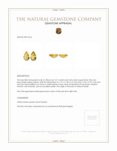 4.67 Ct.Tw.Total Carat Weight Yellow Citrine Pair from Brazil Appraisal