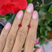 1.49 Ct.Tw.Total Carat Weight Ruby Pair from Mozambique Life Style
