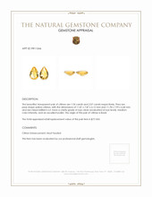 4.01 Ct.Tw.Total Carat Weight Yellow Citrine Pair from Brazil Appraisal