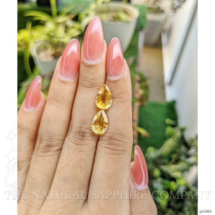 4.62 Ct.Tw. Citrine Pair from Brazil