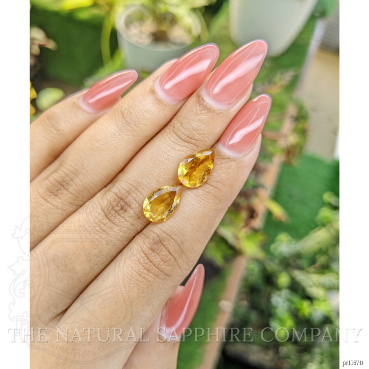 4.65 Ct.Tw. Citrine Pair from Brazil