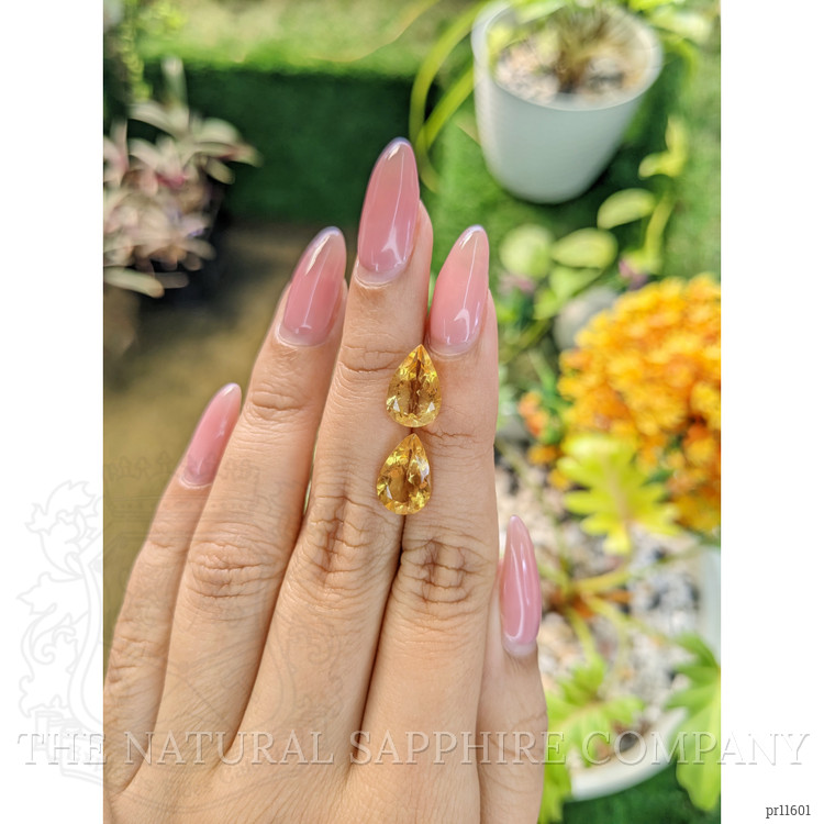 4.91 Ct.Tw. Citrine Pair from Brazil