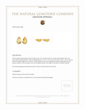 4.06 Ct.Tw.Total Carat Weight Citrine Pair from Brazil Appraisal