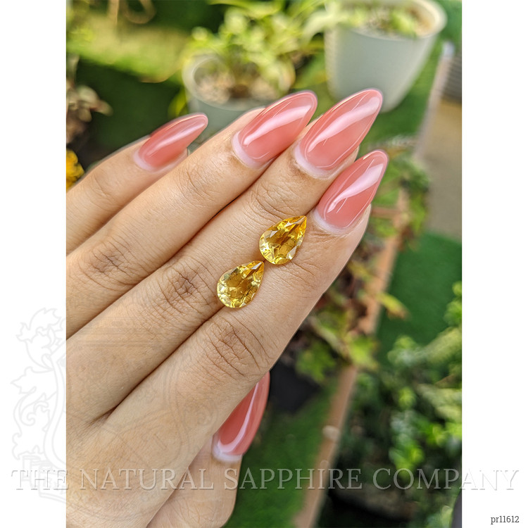 4.35 Ct.Tw. Citrine Pair from Brazil