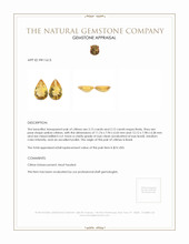 4.27 Ct.Tw.Total Carat Weight Yellow Citrine Pair from Brazil Appraisal