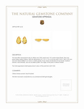 4.00 Ct.Tw.Total Carat Weight Yellow Citrine Pair from Brazil Appraisal