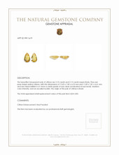 4.23 Ct.Tw.Total Carat Weight Yellow Citrine Pair from Brazil Appraisal