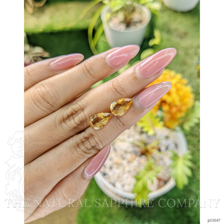 4.04 Ct.Tw. Citrine Pair from Brazil